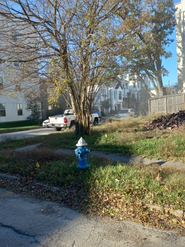 Top-rated yard maintenance with custom design in Houston, TX by Davila Tree and Landscaping Services