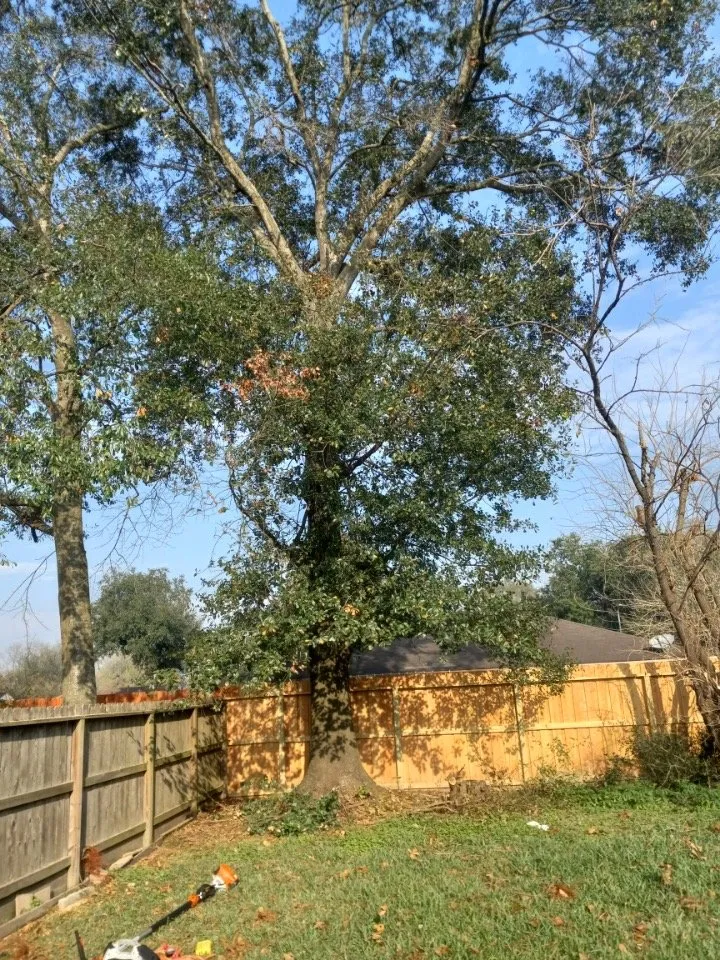 Professional residential landscaping with custom design across Houston, TX - Davila Tree and Landscaping Services