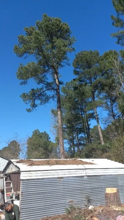 Reliable landscape installation in Houston, TX by Davila Tree and Landscaping Services