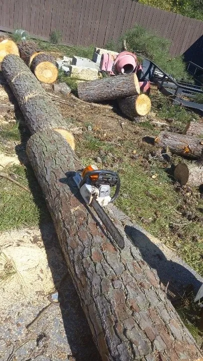 Top-rated landscaping services experts serving Houston, TX - Davila Tree and Landscaping Services