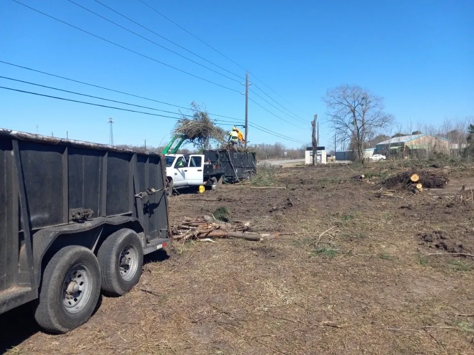 Expert outdoor landscaping for outdoor upgrades across Houston, TX - Davila Tree and Landscaping Services