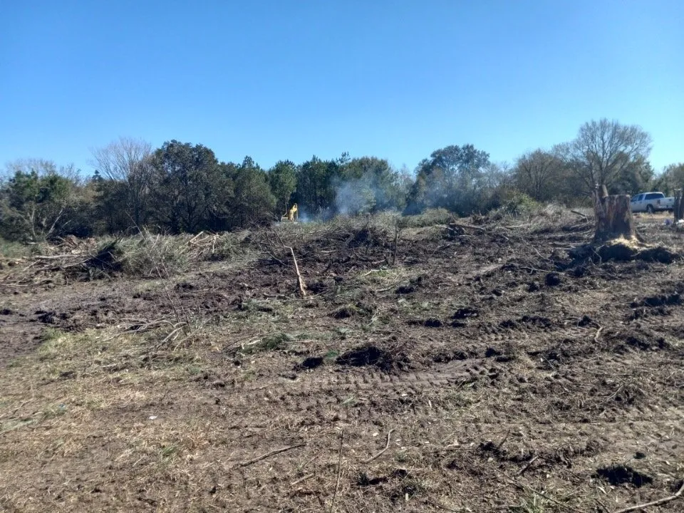 Custom outdoor landscaping experts serving Houston, TX - Davila Tree and Landscaping Services