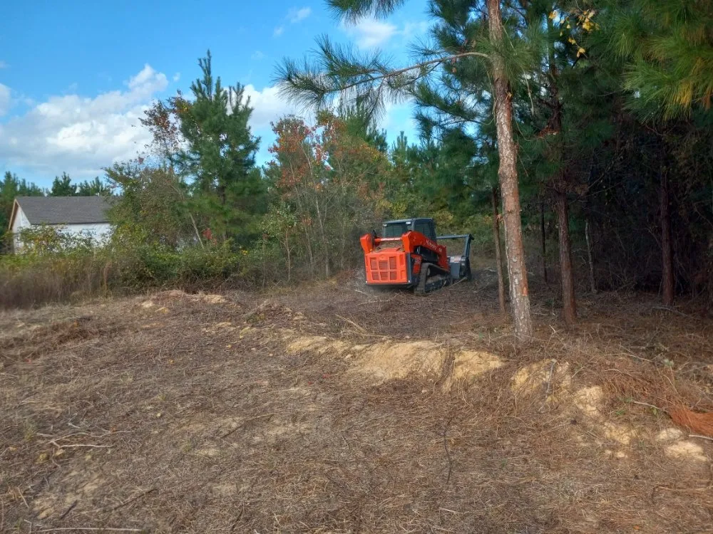 Professional landscape design with custom design in Houston, TX by Davila Tree and Landscaping Services