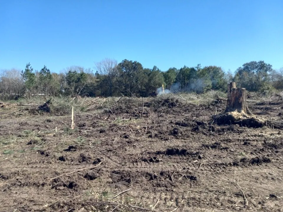 Local lawn mowing service experts serving Houston, TX - Davila Tree and Landscaping Services