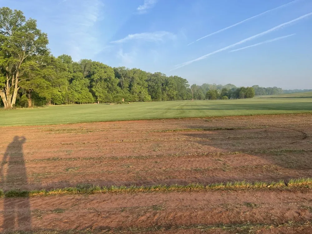 Local landscape installation in Centreville, VA - Davila's