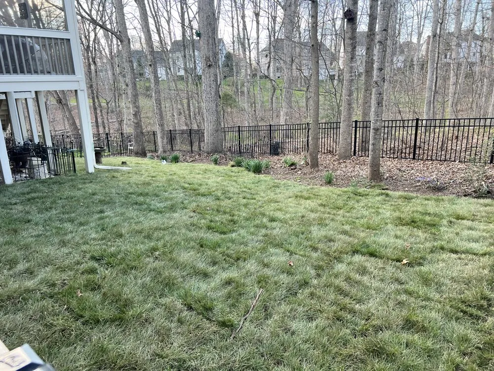 Custom yard maintenance for homes in Centreville, VA by Davila's