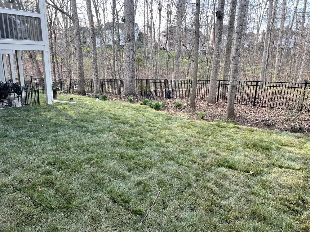 Custom yard maintenance in Centreville, VA by Davila's