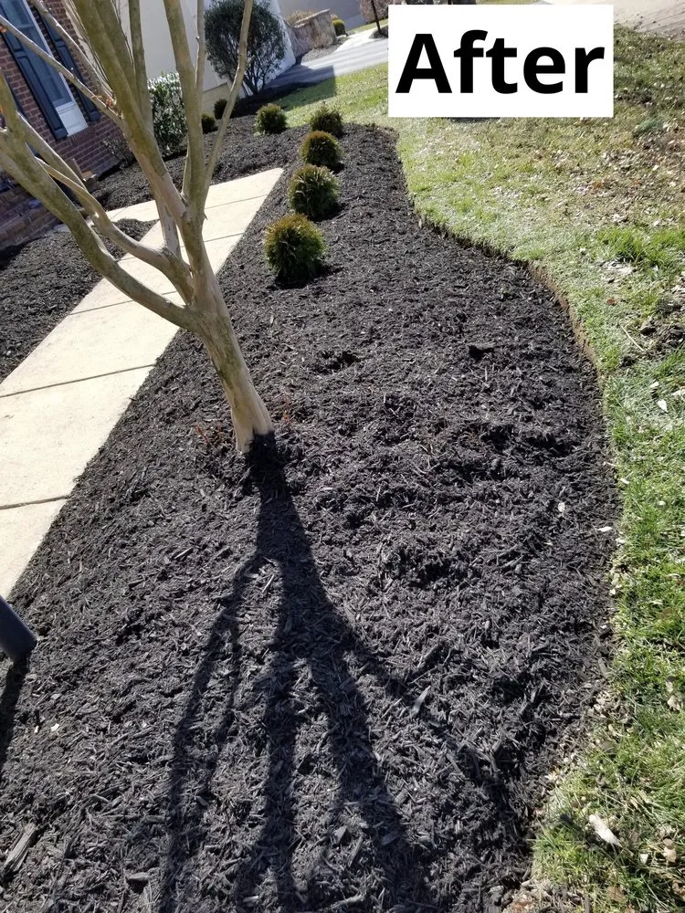 Affordable landscape design in Centreville, VA by Davila's