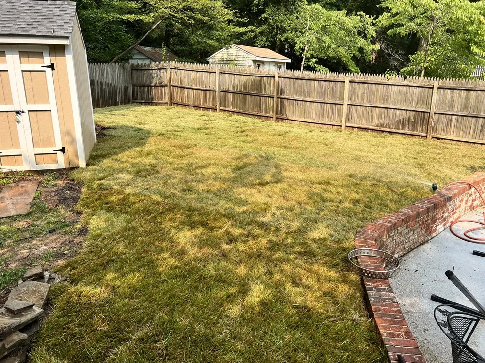 Professional yard cleanup service experts serving Centreville, VA - Davila's