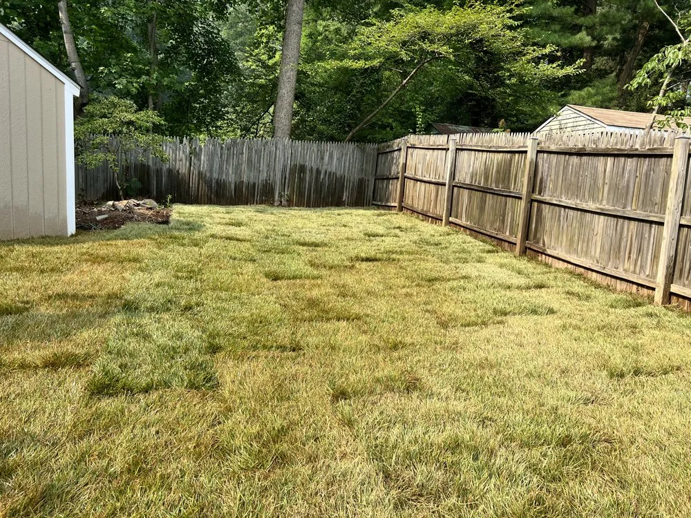 Custom landscaping services for homes in Centreville, VA by Davila's