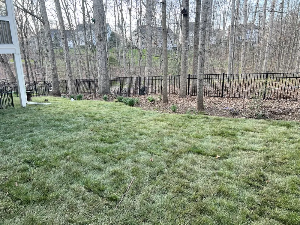 Reliable landscaping services in Centreville, VA by Davila's