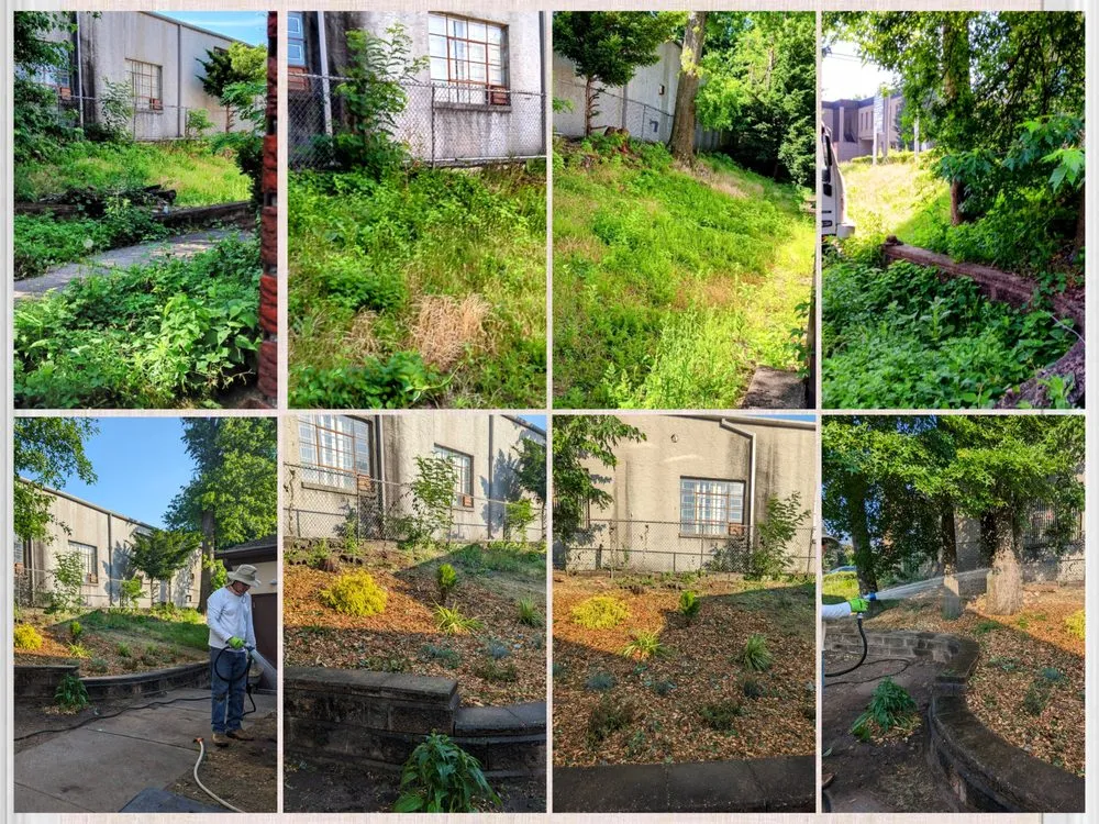 Trusted landscape design in Garfield, NJ by DaVinci Design and Remodel