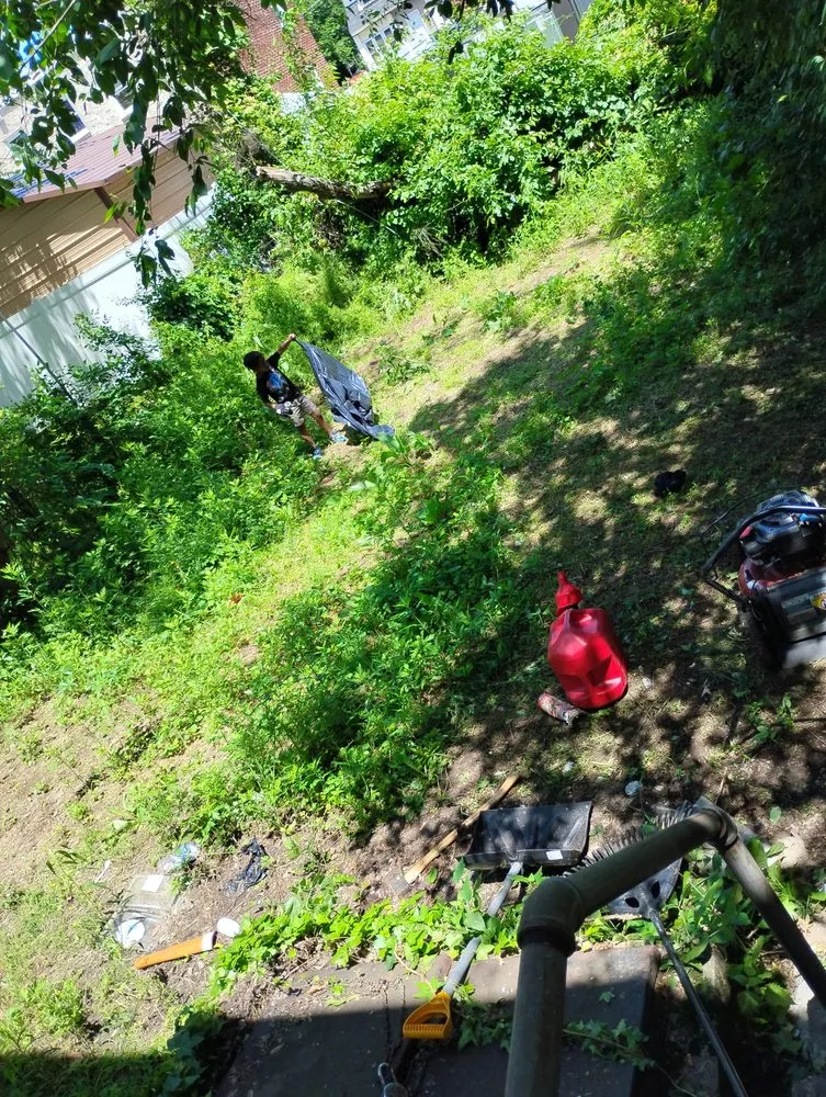 Trusted landscaping services experts serving Camden, NJ - Davion's Lawn Service