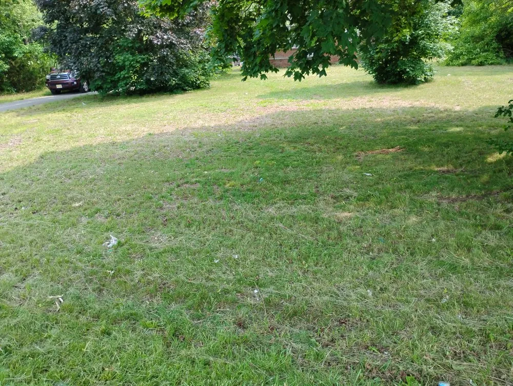 Affordable landscape installation experts serving Camden, NJ - Davion's Lawn Service