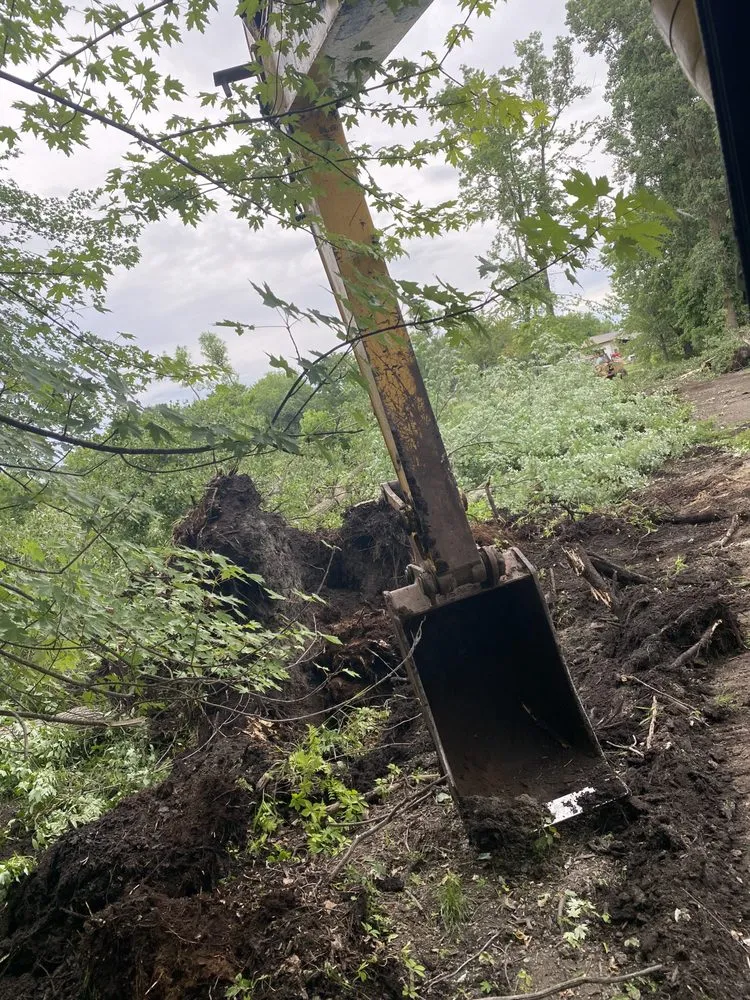 Reliable yard maintenance experts serving Perry, MI - Davis & Company