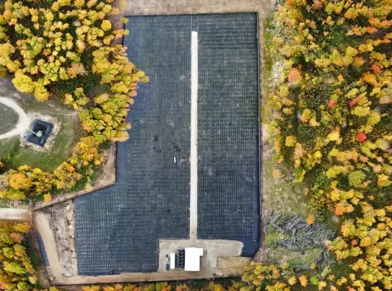 Affordable yard maintenance in Perry, MI by Davis & Company