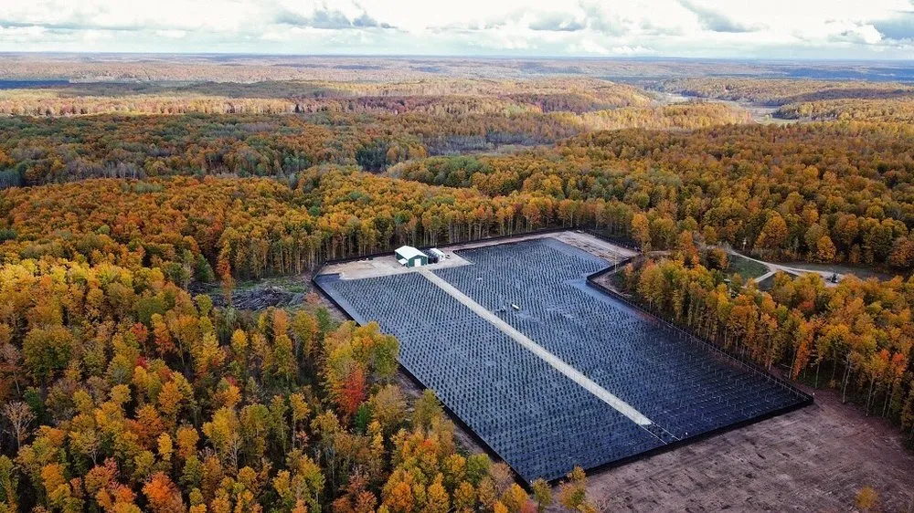 Local landscape installation experts serving Perry, MI - Davis & Company