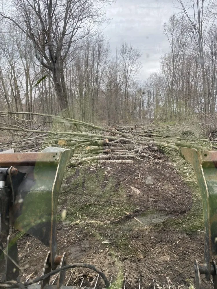 Professional garden landscaping with custom design across Perry, MI - Davis & Company