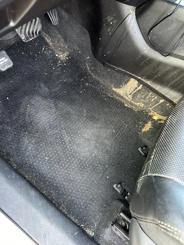 Trusted lawn care service for residential properties across Converse, TX - Davis All Arounds Detailing Services