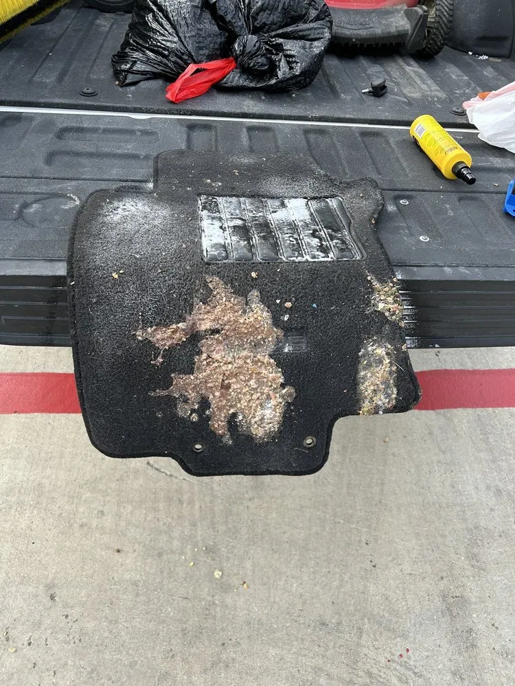 Professional outdoor landscaping for homes across Converse, TX - Davis All Arounds Detailing Services