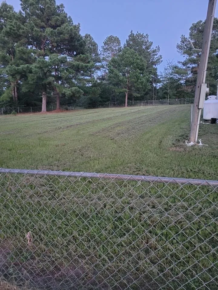 Local yard cleanup service for homes in Columbia, SC by Davis and Company lawn care