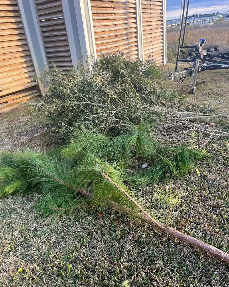 Affordable landscape installation in Mary Esther, FL by Davis and Son Lawn Care