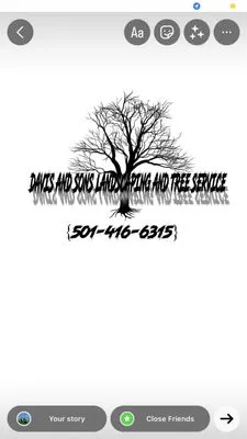 Davis and Sons Landscaping Amd Tree Services Logo