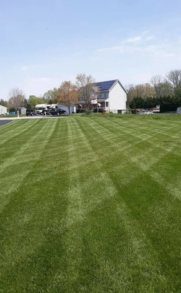 Affordable yard cleanup service in North East, MD - Davis And Son's Lawn Care