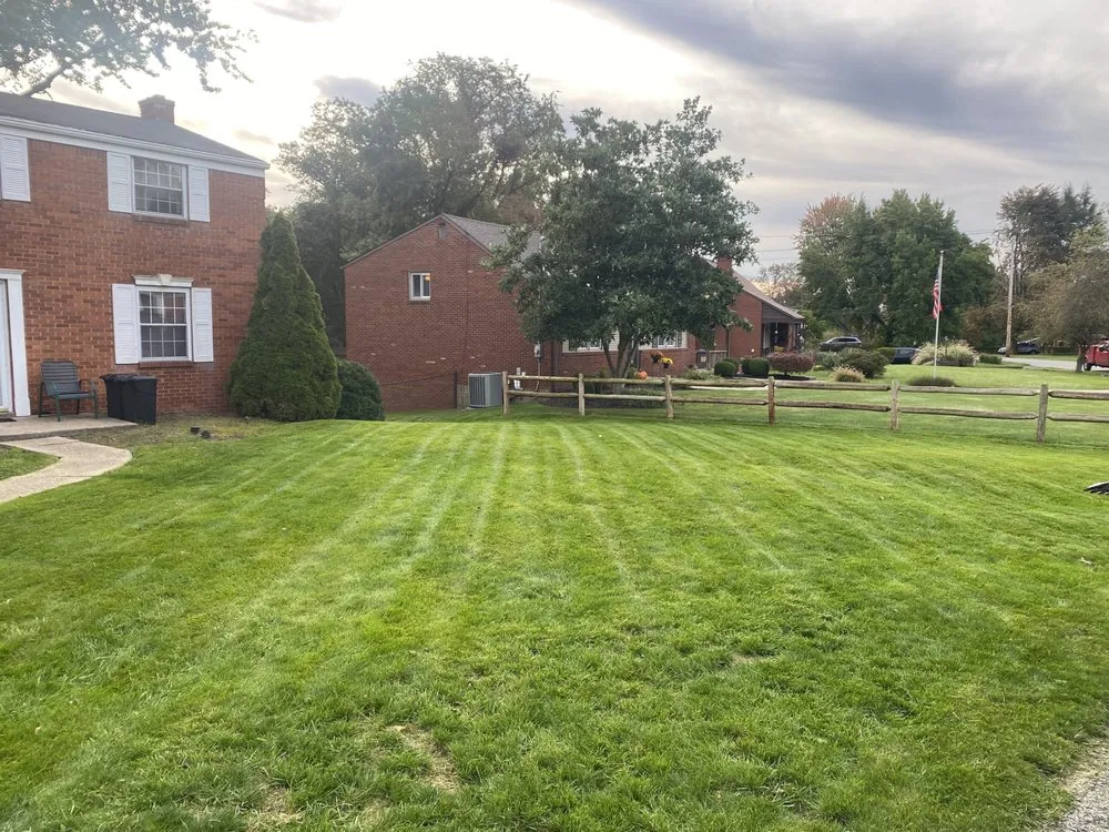 Expert yard cleanup service experts serving Pittsburgh, PA - Davis And Sons