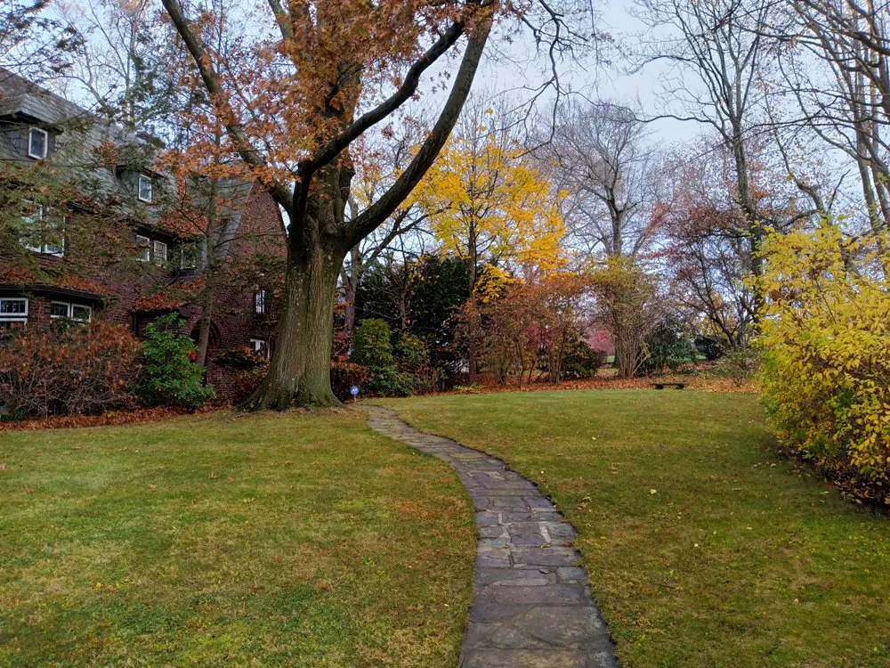 Professional yard cleanup service in Pittsburgh, PA - Davis And Sons