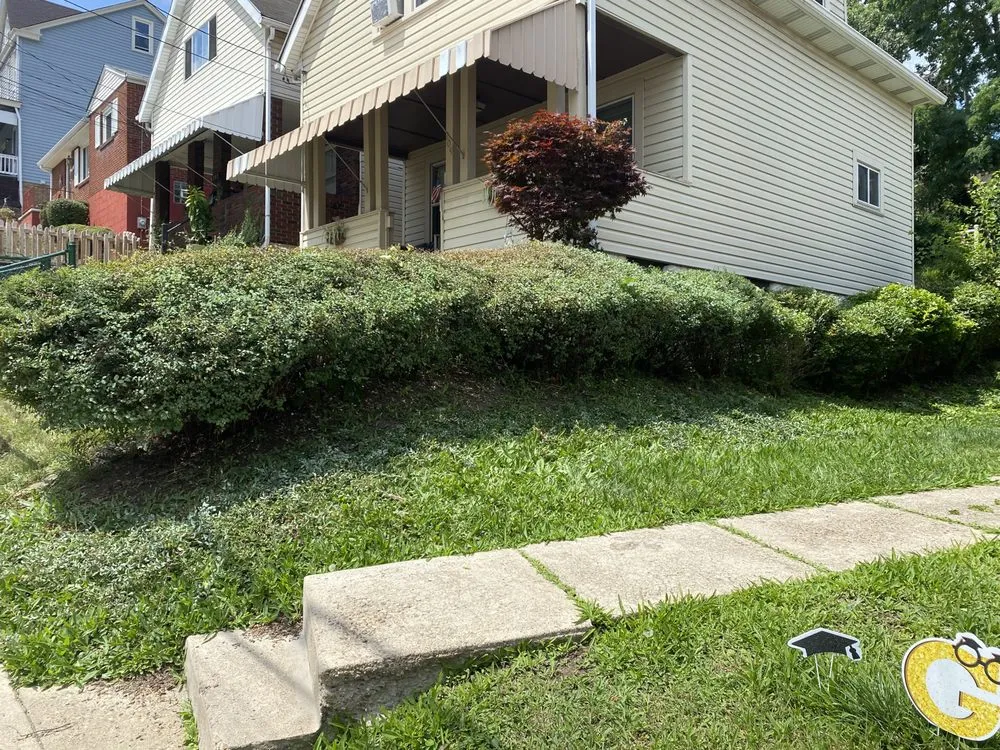 Professional yard maintenance in Pittsburgh, PA - Davis And Sons