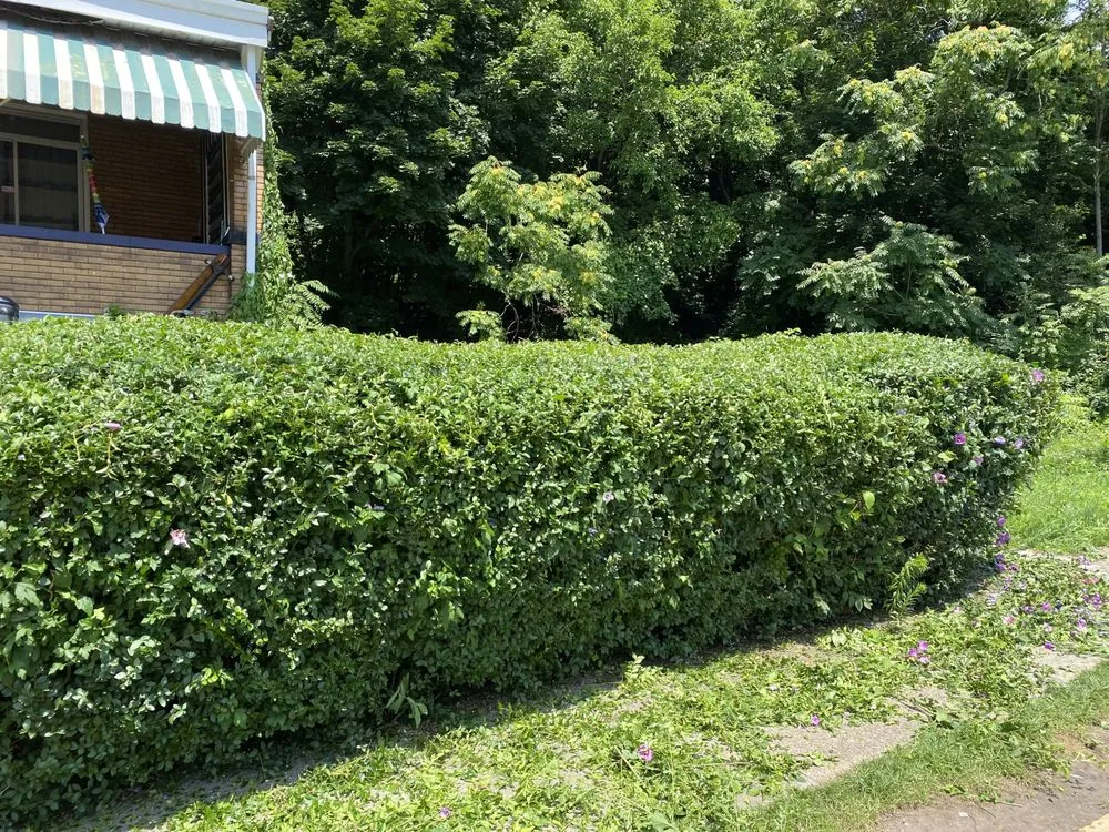 Expert outdoor landscaping in Pittsburgh, PA - Davis And Sons