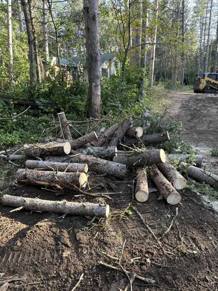Expert garden landscaping for year-round maintenance across Cedar E Bethl, MN - Davis Brothers