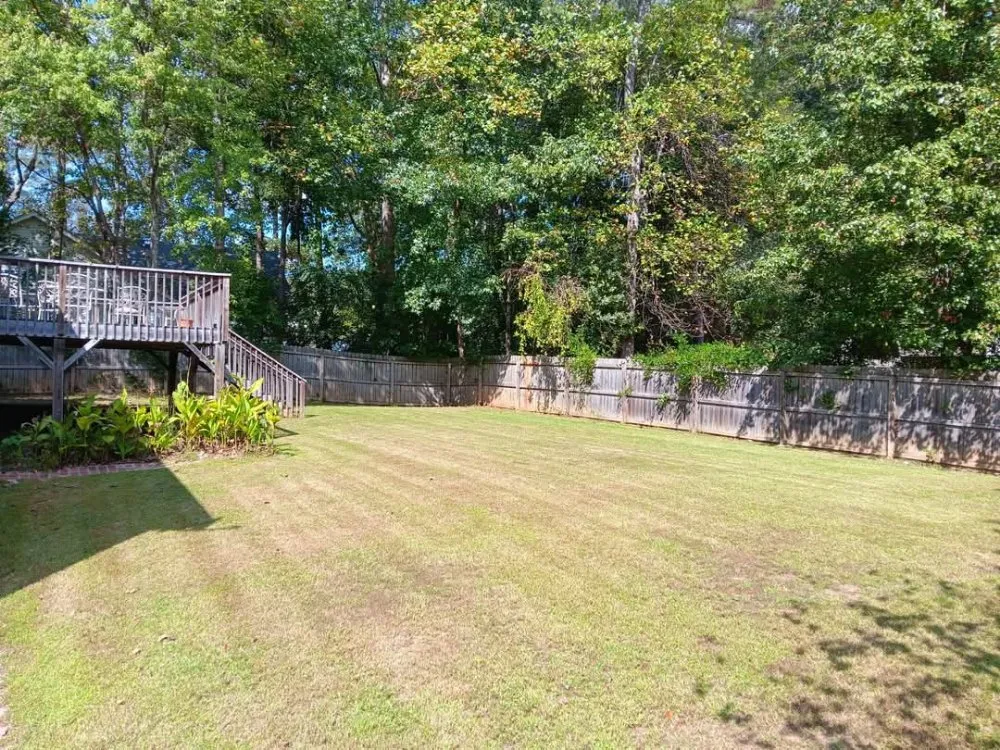 Custom yard maintenance for year-round maintenance in Kennesaw, GA by Davis Brothers Lawncare