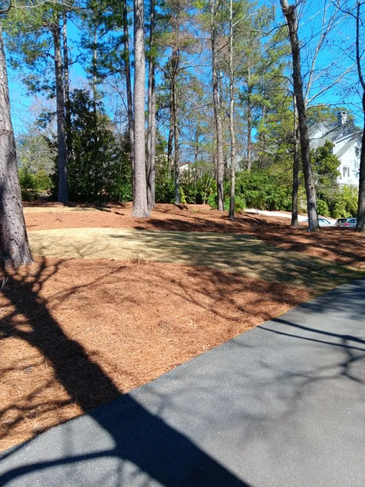 Custom outdoor landscaping experts serving Kennesaw, GA - Davis Brothers Lawncare