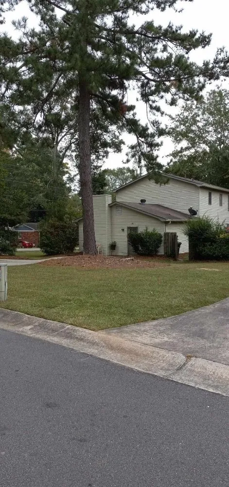 Custom yard cleanup service for year-round maintenance across Kennesaw, GA - Davis Brothers Lawncare