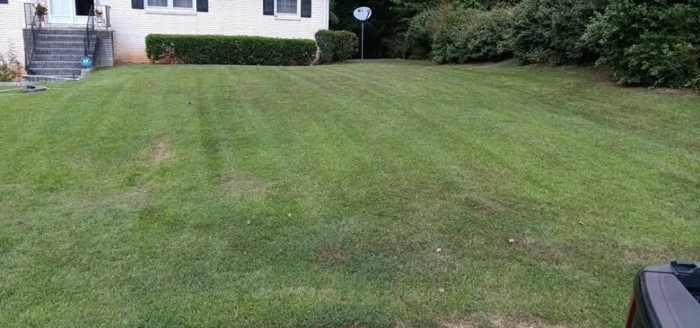 Top-rated yard cleanup service experts serving Kennesaw, GA - Davis Brothers Lawncare