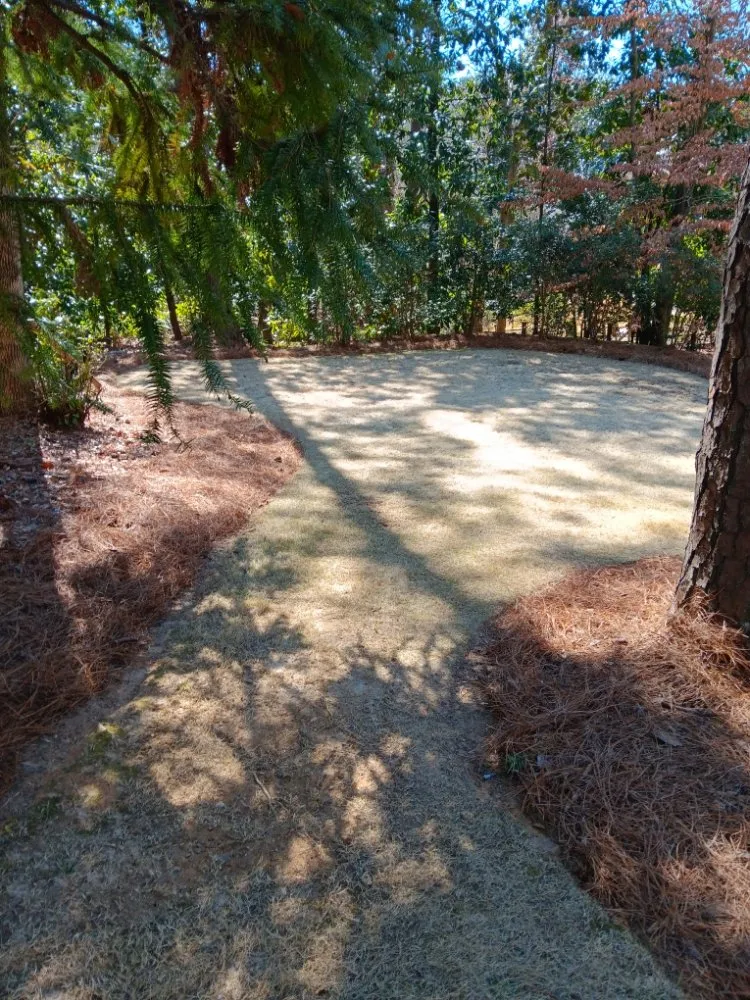 Expert outdoor landscaping for year-round maintenance across Kennesaw, GA - Davis Brothers Lawncare