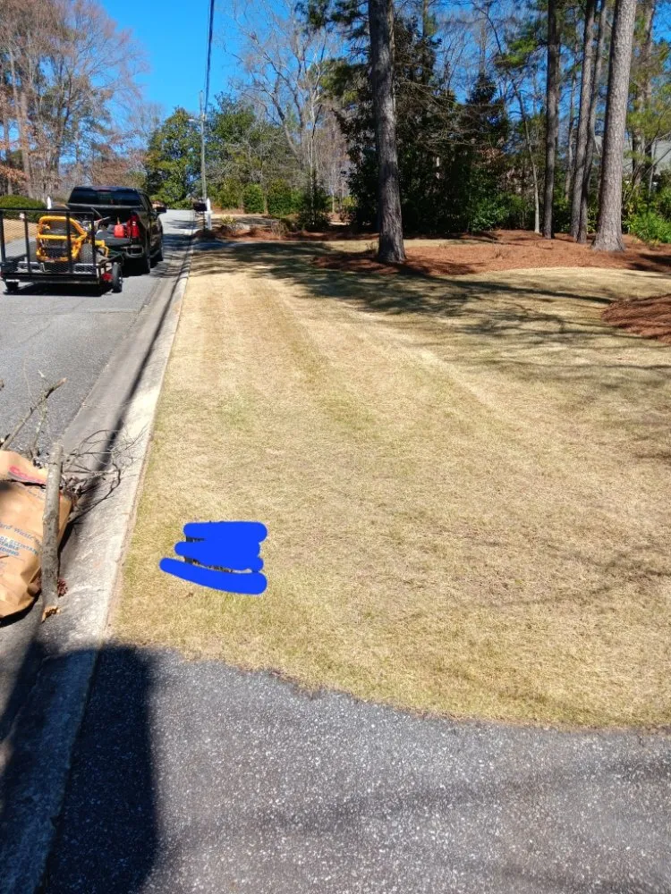 Custom yard maintenance for year-round maintenance in Kennesaw, GA by Davis Brothers Lawncare