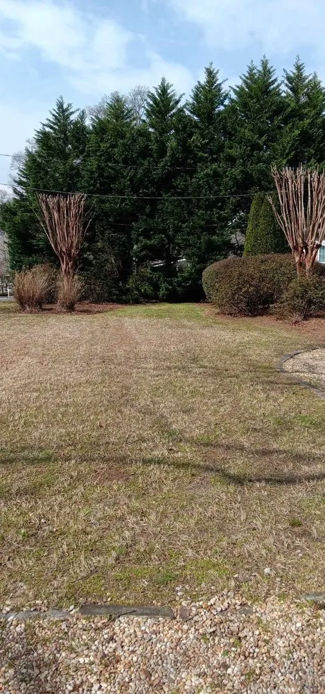 Custom landscape installation in Kennesaw, GA by Davis Brothers Lawncare