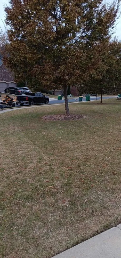 Professional yard cleanup service experts serving Kennesaw, GA - Davis Brothers Lawncare