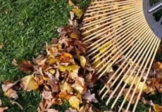 Top-rated yard maintenance for residential properties across Clinton, MD - Davis C. Landscaping