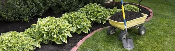 Davis C. Landscaping Logo