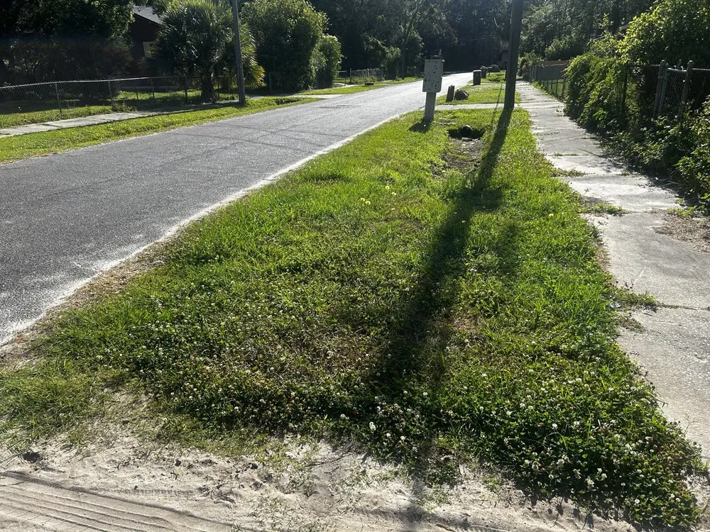 Professional landscape design for homes in Jacksonville, FL by Davis Creations Landscape and Design