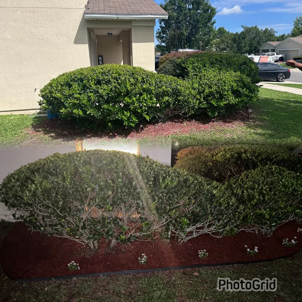 Trusted landscape design in Jacksonville, FL by Davis Creations Landscape and Design