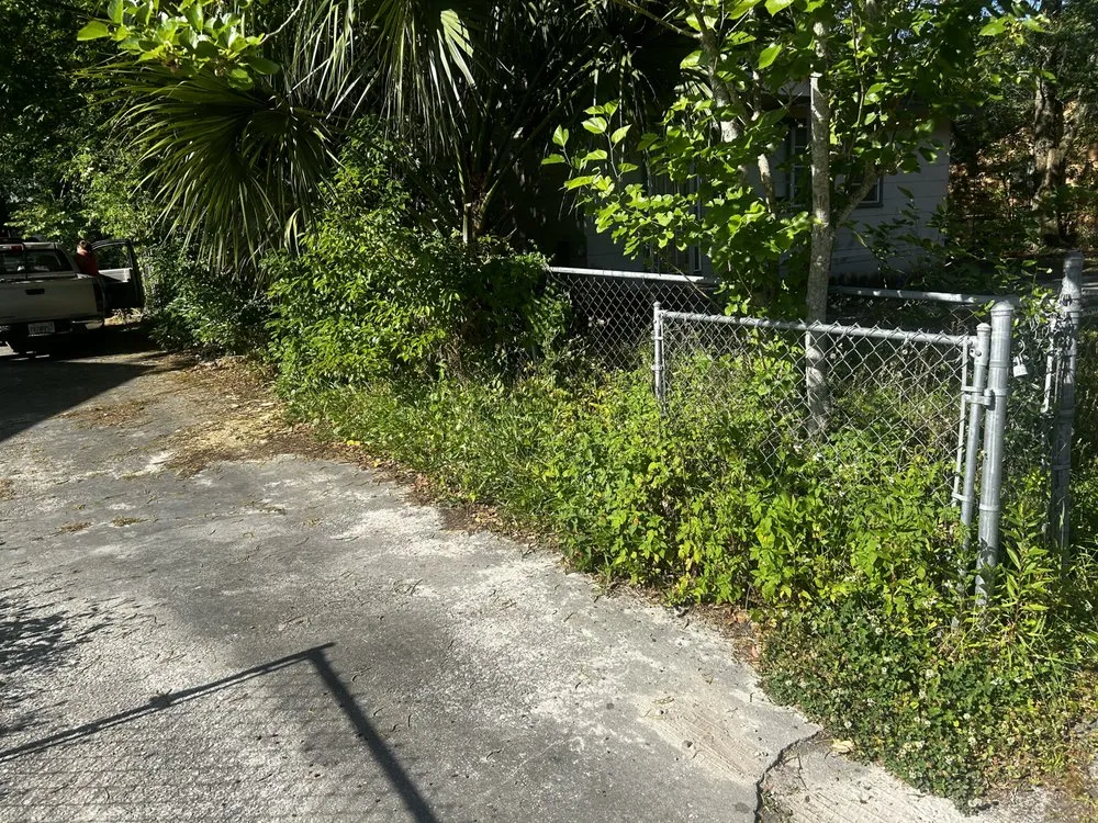 Professional yard maintenance with custom design across Jacksonville, FL - Davis Creations Landscape and Design