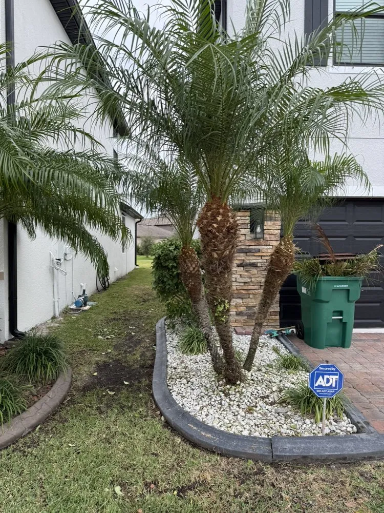 Expert yard maintenance for residential properties in Palm Bay, FL by Davis Curb Appeal Services