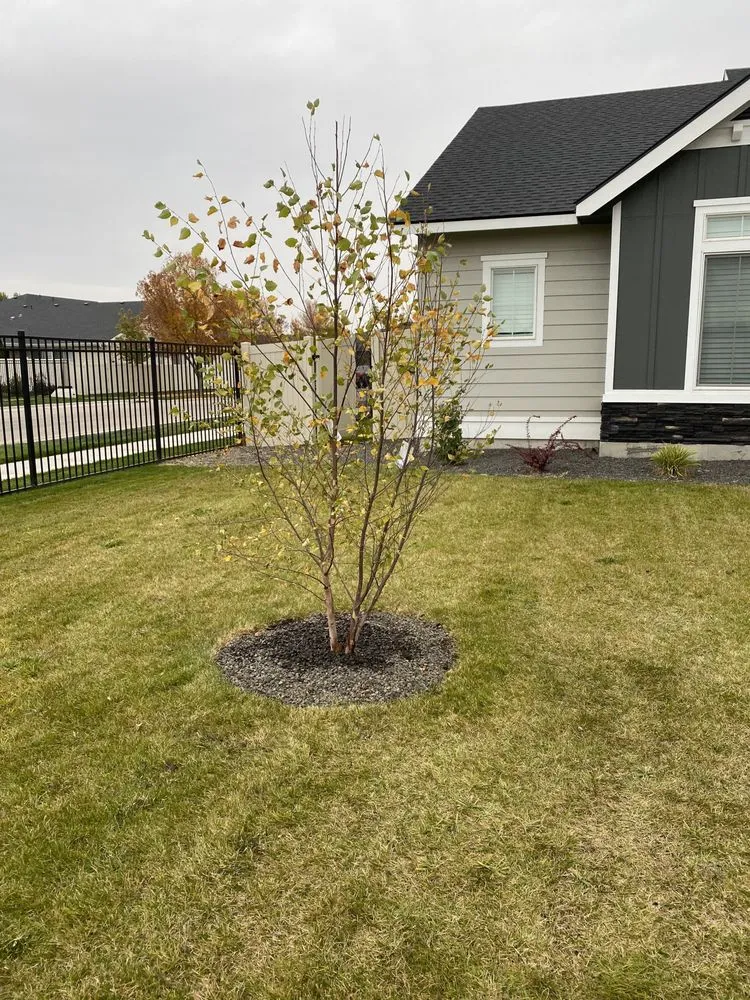 Trusted garden landscaping for beautiful yards in Star, ID by Davis Dirty Deeds