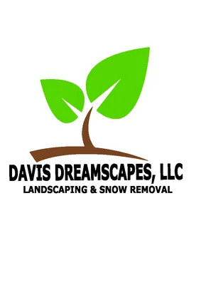 Davis Dreamscapes