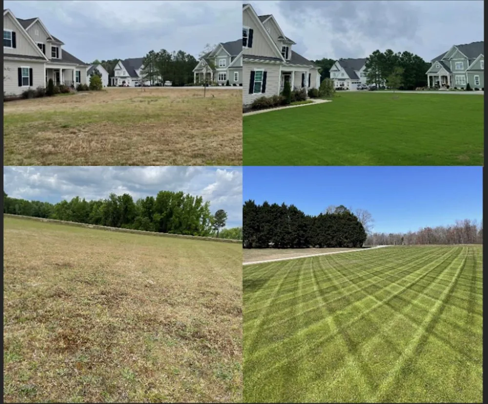 Trusted landscape design for year-round maintenance across Benson, NC - Davis Exterior Solutions